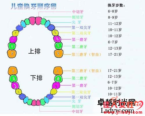 學習寶寶換牙順序大全 告訴你寶寶換牙常識