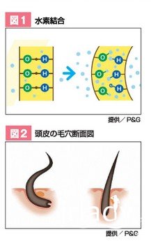 本文系Onlylady獨傢原創，如需轉載請註明出處