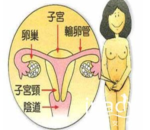 圖片來源於：99子宮網  30歲女人該如何保養自己的子宮？