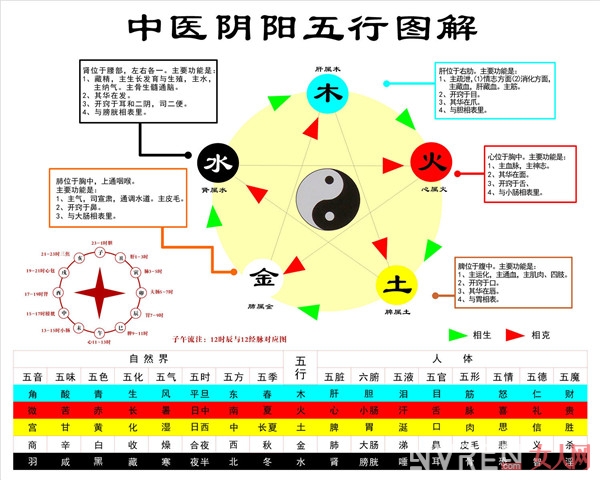 中醫眼中蜂蜜功效_蜂蜜食譜疏通血管養肝臟 堪稱春季最佳食方