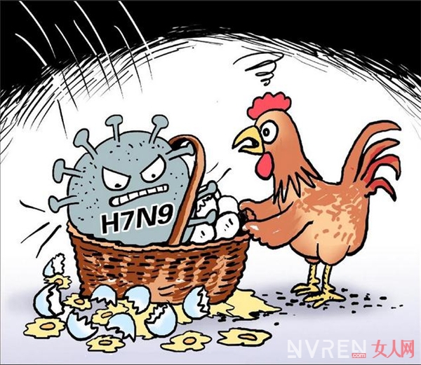 H7N9 疫情進入高發期