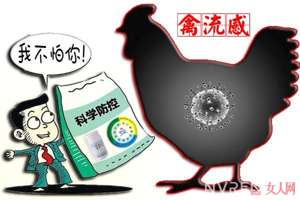 H7N9 疫情進入高發期