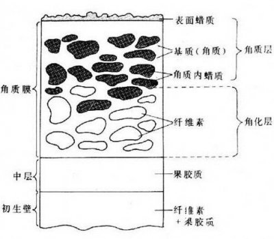 點擊進入下一頁