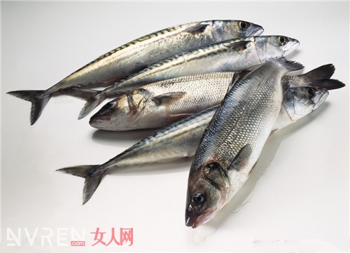 金槍魚功營養是什麼_金槍魚對女性美容減肥有什麼用 它的營養價值有哪些